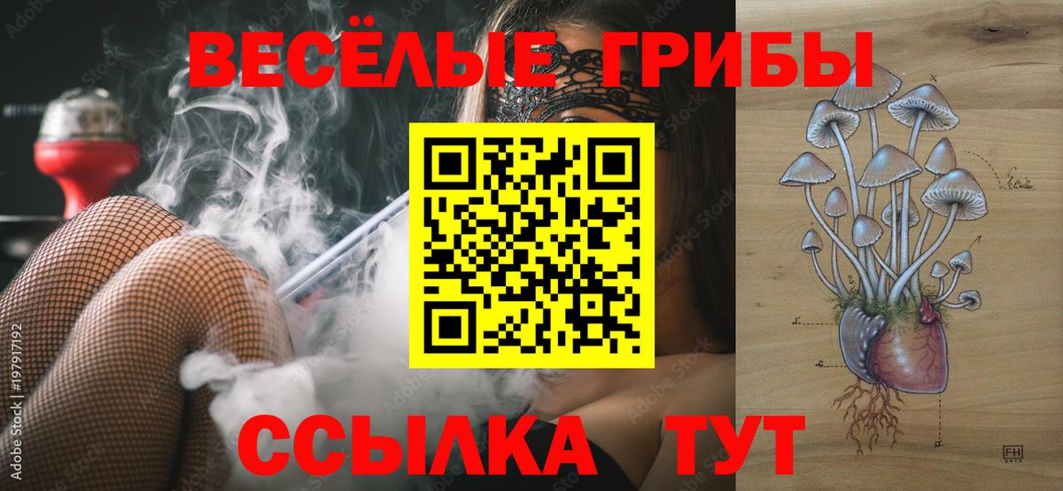 Ишим  Псилоцибиновые грибы Psilocybine cubensis  Вход с VPN 